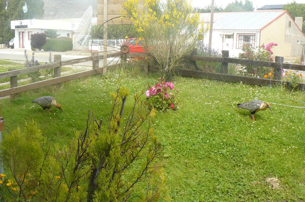 Posada Karut Josh El Calafate Exterior foto